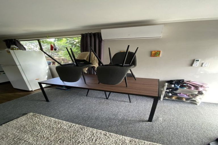 Photo of property in 101a Rimu Street, Maeroa, Hamilton, 3200