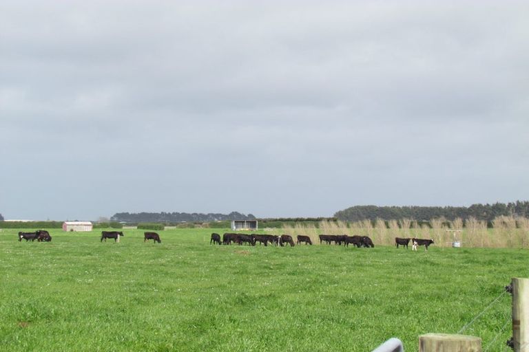 Photo of property in 7 Austin Road, Normanby, Hawera, 4673