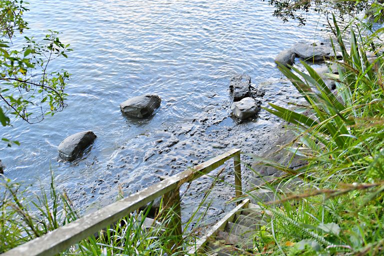 Photo of property in 10 Clinton Road, Tawharanui Peninsula, Matakana, 0986