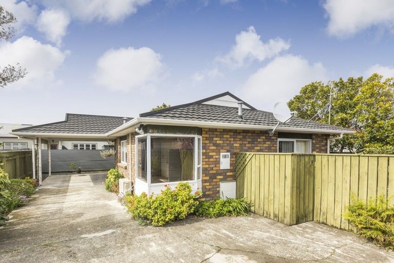 Photo of property in 10 Millar Street, Terrace End, Palmerston North, 4410