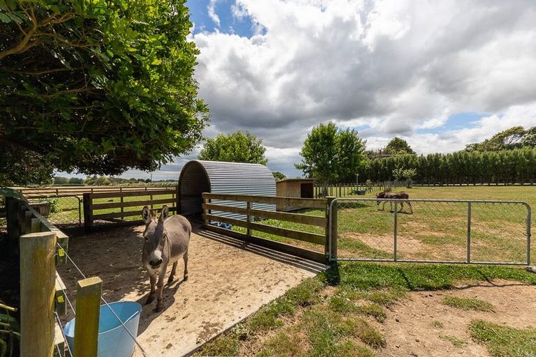Photo of property in 46 North Manakau Road, Manakau, Levin, 5573