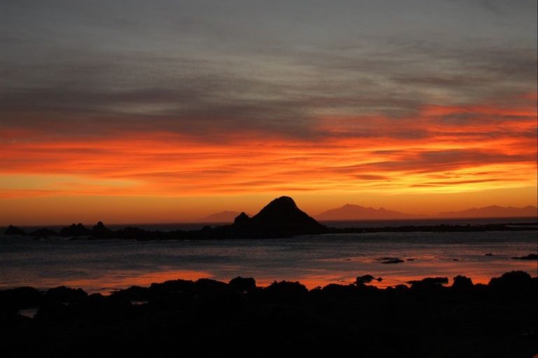 Photo of property in 160 The Esplanade, Houghton Bay, Wellington, 6023