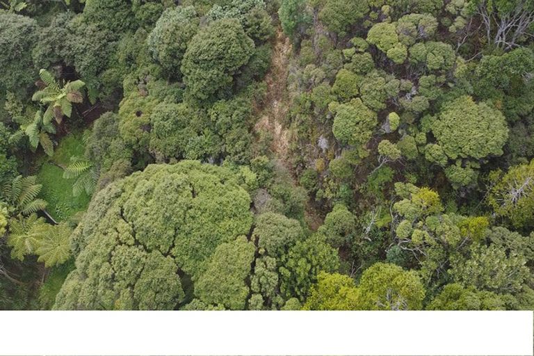 Photo of property in 112 Piha Road, Piha, 0772