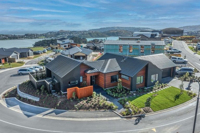 Photo of property in 16 Rotorua Grove, Aotea, Porirua, 5024