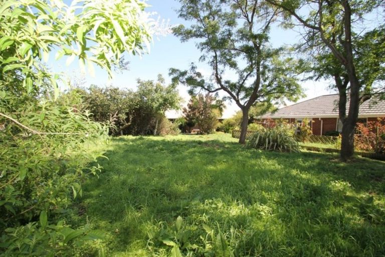 Photo of property in 19 Mcdonald Street, Brockville, Dunedin, 9011