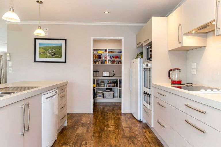 Photo of property in 87 Cridland Street, Rakaia, 7710