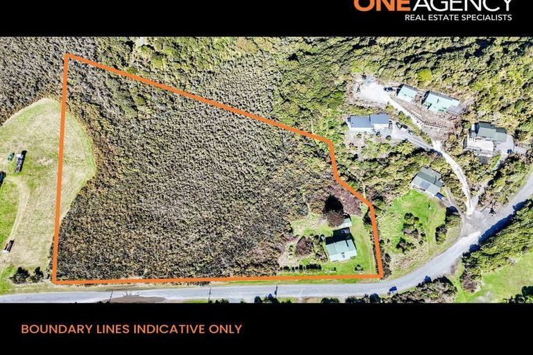 Photo of property in 99 The Strand, Okarito, Whataroa, 7886