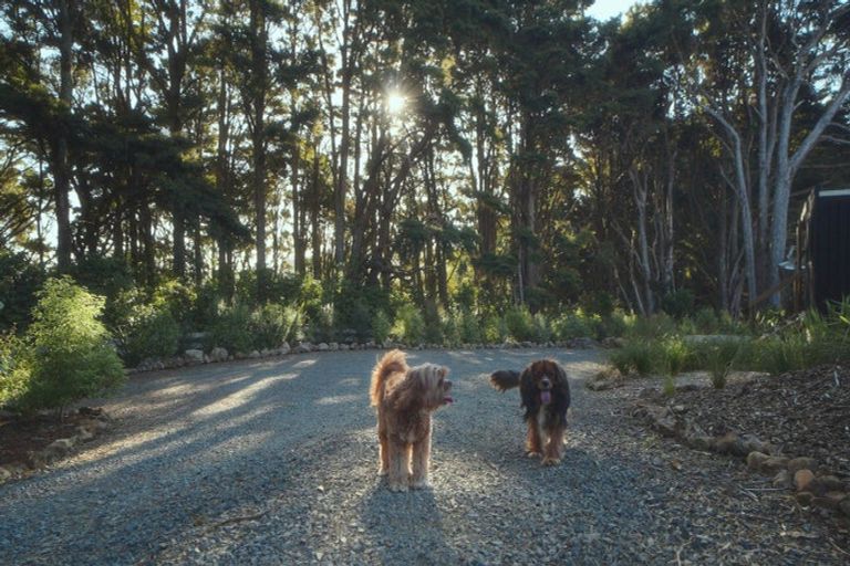 Photo of property in 629e Tara Road, Mangawhai, Kaiwaka, 0573