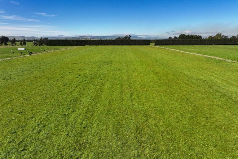 Photo of property in 85 George Street, Edendale, 9825