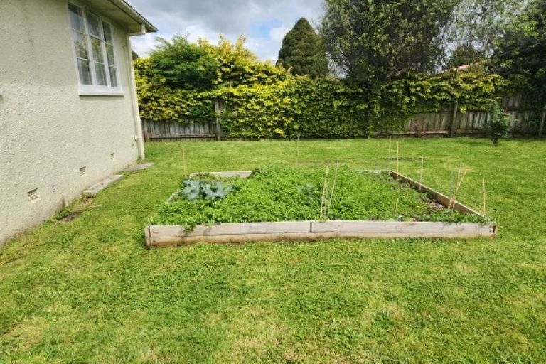 Photo of property in 79 Fairfield Road, Fairfield, Hamilton, 3214