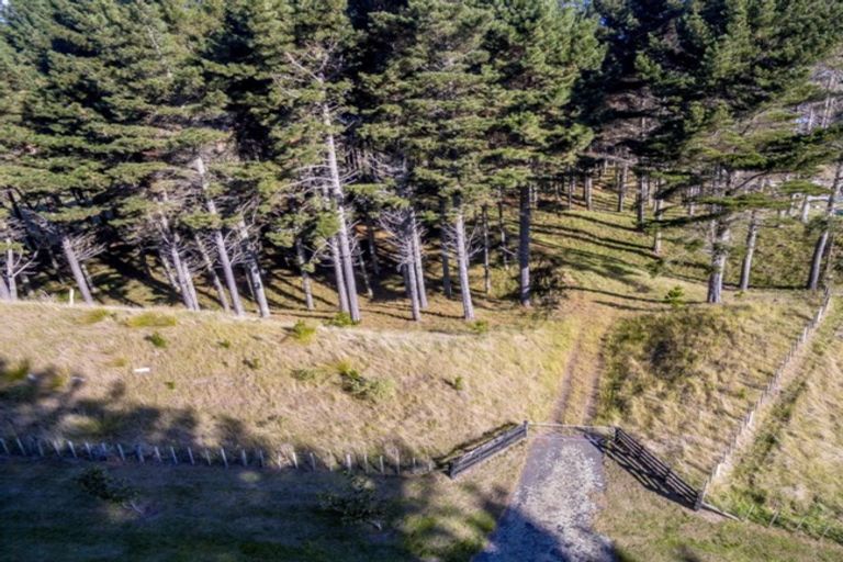 Photo of property in 101 Emma Drive, Manakau, 5573