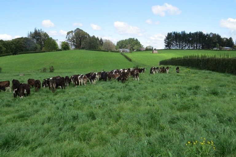 Photo of property in 58 Ryburn Road, Ohaupo, 3883