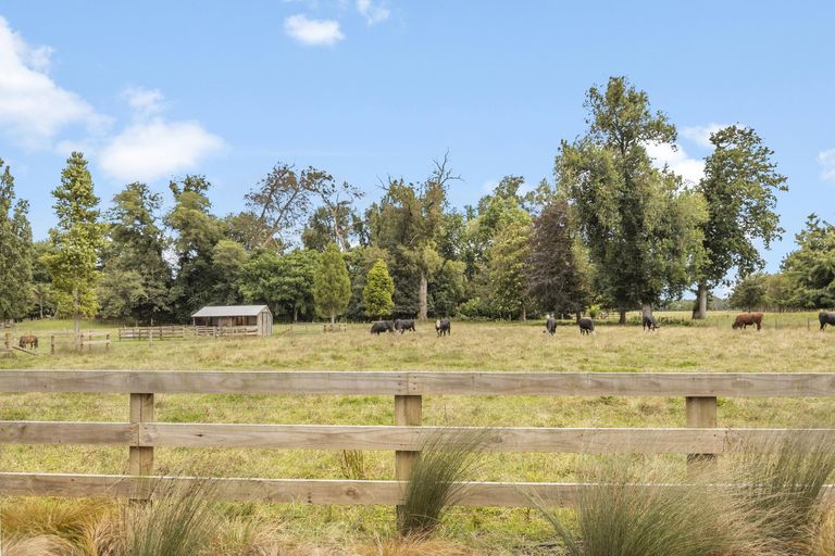 Photo of property in 76c Horrell Road, Morrinsville, 3374
