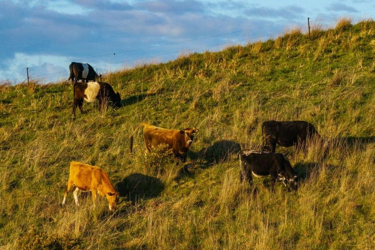 Photo of property in 112 Kahu Way, Hawkesbury, Renwick, 7272