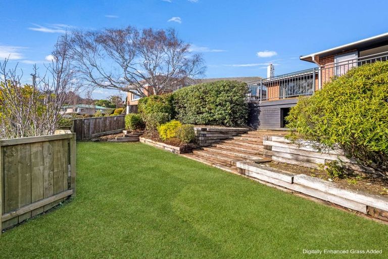 Photo of property in 19 Heath Street, Andersons Bay, Dunedin, 9013