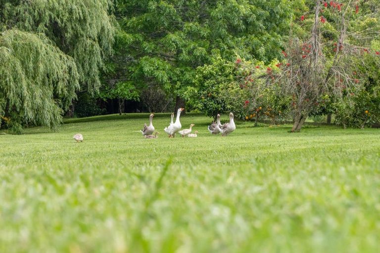 Photo of property in 68 Wiroa Road, Kerikeri, 0293