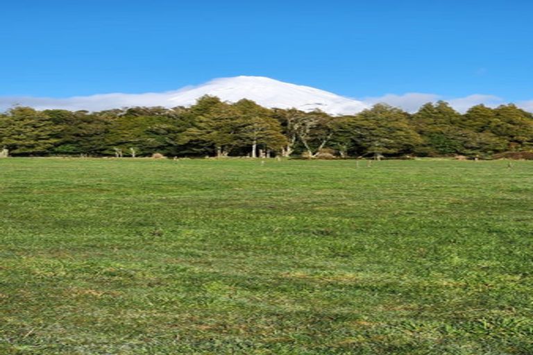 Photo of property in 5 Robson Court, Gate Pa, 3112