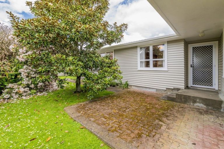 Photo of property in 175 Tiro Tiro Road, Levin, 5510