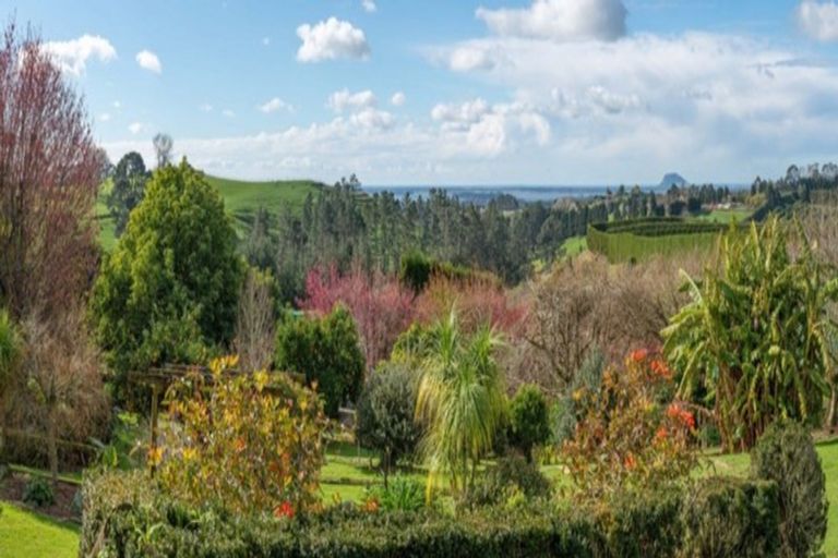 Photo of property in 51 Sinclair Road, Whakamarama, Tauranga, 3179