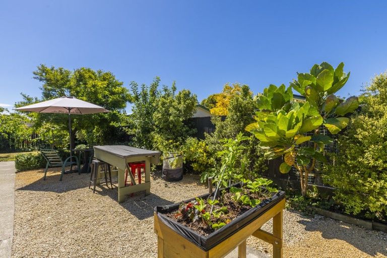 Photo of property in 7a Rosewood Place, Paraparaumu, 5032