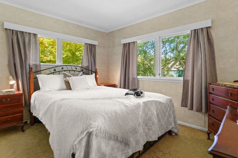 Photo of property in 664 State Highway 2, Tahawai, Katikati, 3170