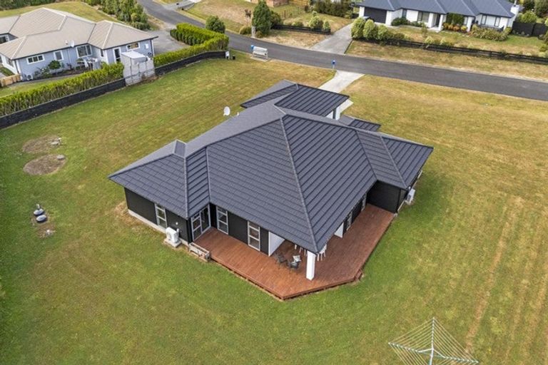 Photo of property in 46 Wapiti Avenue, Feilding, 4775