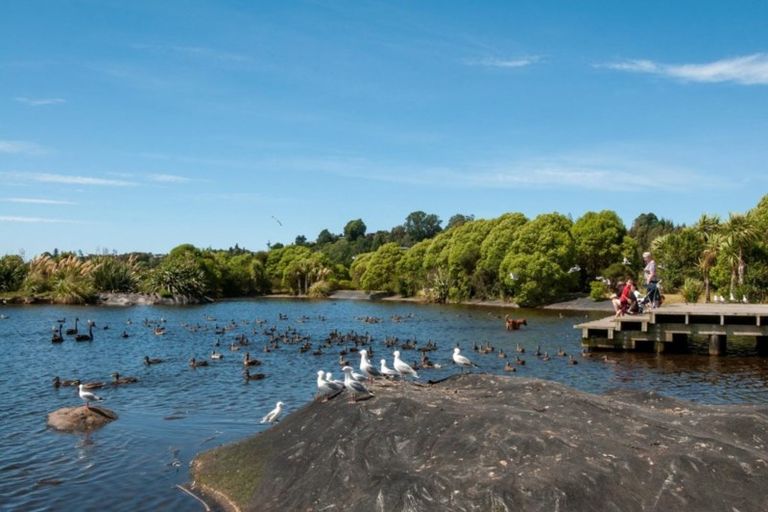 Photo of property in 100 Westmorland Rise, Bethlehem, Tauranga, 3110