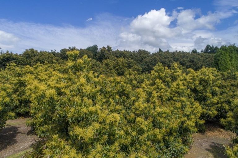 Photo of property in 63a Snodgrass Road, Te Puna, Tauranga, 3174