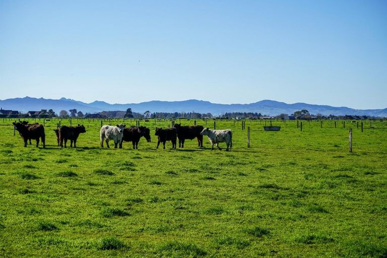 Photo of property in 90 Rawerawe Road, Ngatea, 3597