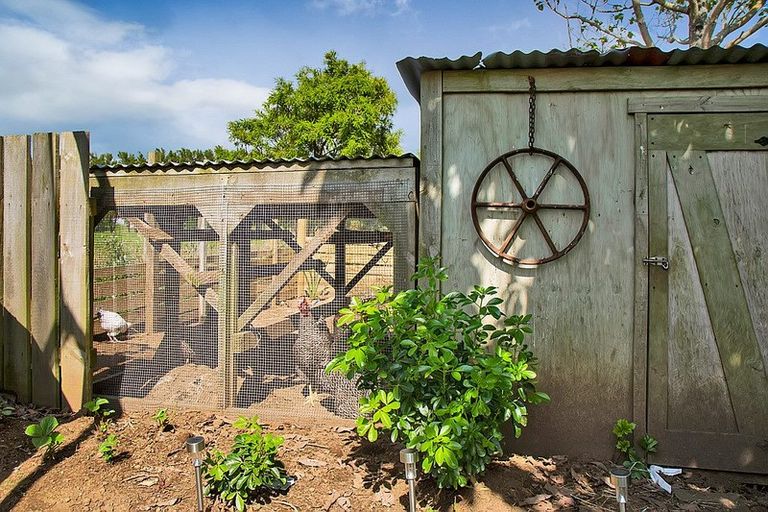 Photo of property in 323 Hunter Road, Eltham, Hawera, 4673