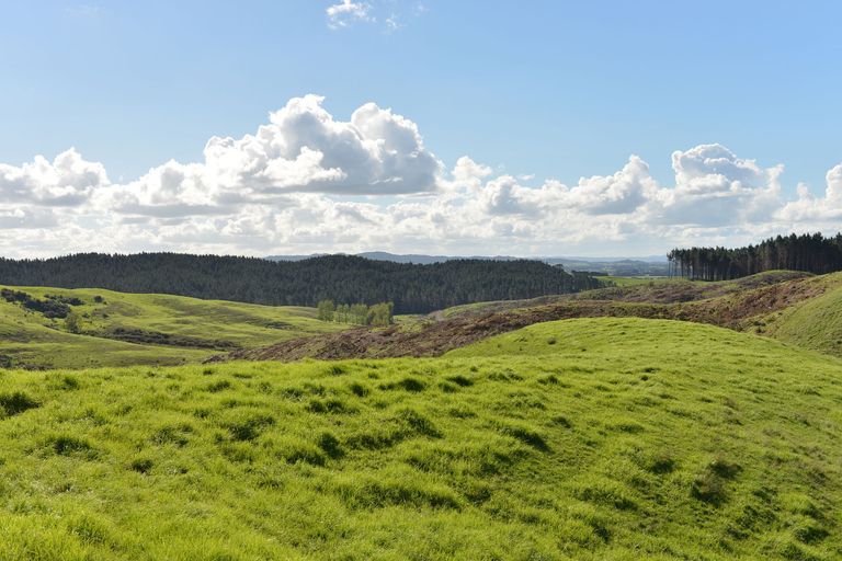 Photo of property in 495 Glenmohr Road, Waipu, 0582