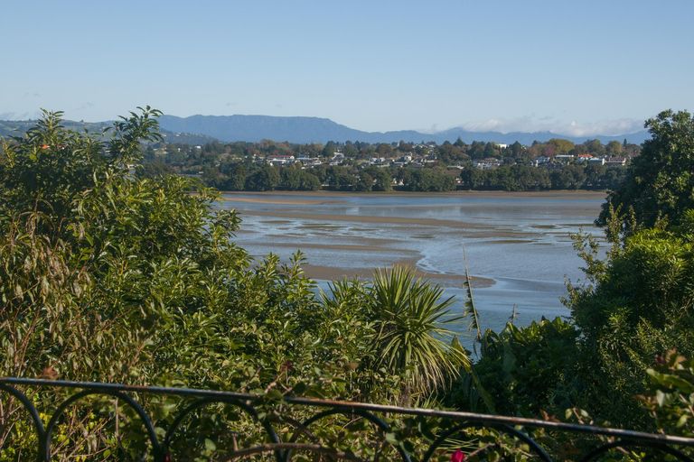 Photo of property in 250 Maungatapu Road, Maungatapu, Tauranga, 3112