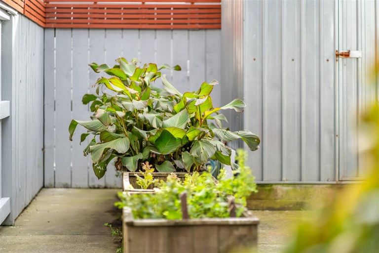 Photo of property in 2/35 Tahi Street, Miramar, Wellington, 6022