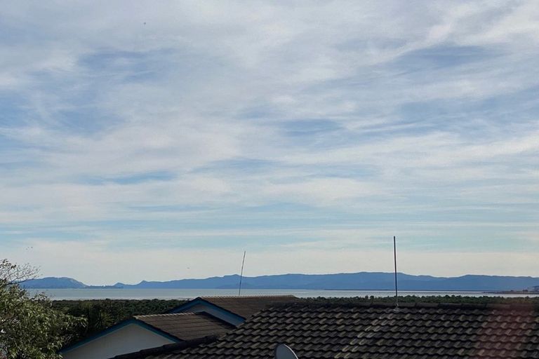 Photo of property in 4 Pureora Place, Clendon Park, Auckland, 2103