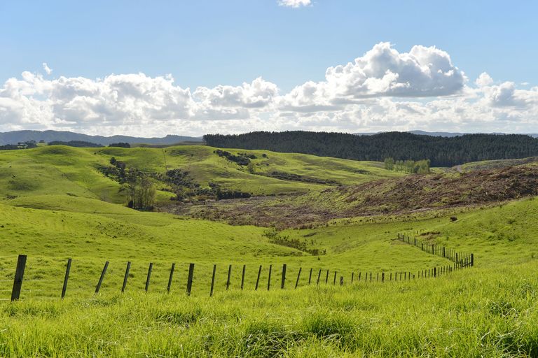 Photo of property in 495 Glenmohr Road, Waipu, 0582