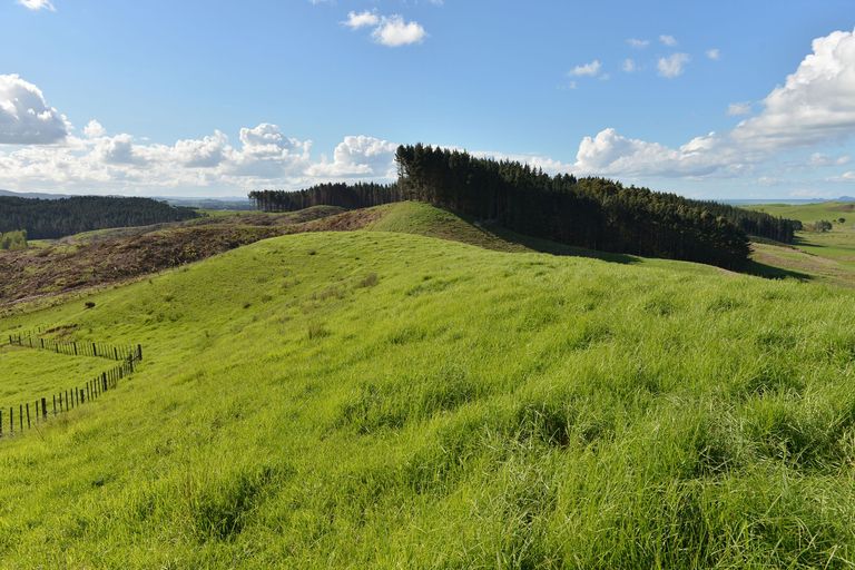 Photo of property in 495 Glenmohr Road, Waipu, 0582