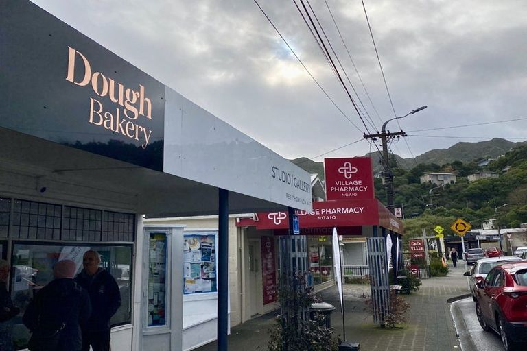 Photo of property in 55 Ottawa Road, Ngaio, Wellington, 6035