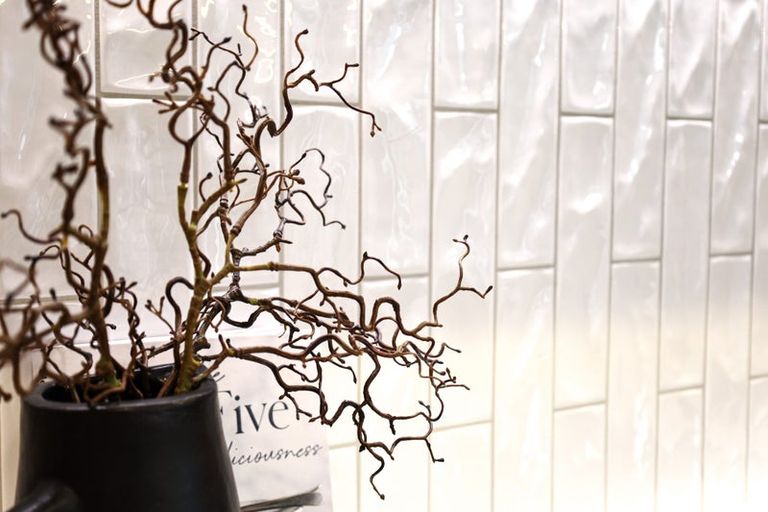 Photo of property in 6 Samuel Place, Terrace End, Palmerston North, 4410