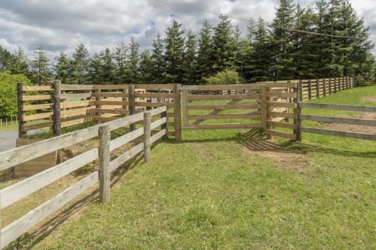 Photo of property in 649f Esdaile Road, Whakamarama, Tauranga, 3180