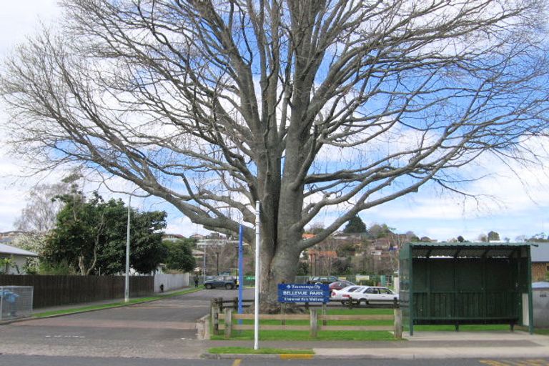 Photo of property in 99 Windsor Road, Bellevue, Tauranga, 3110