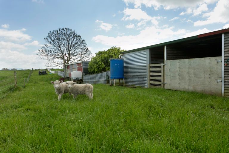Photo of property in 386 East Road, Reporoa, 3081