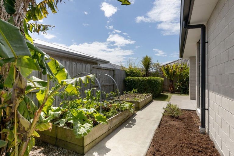 Photo of property in 22 Bill Miller Drive, Papamoa, 3118