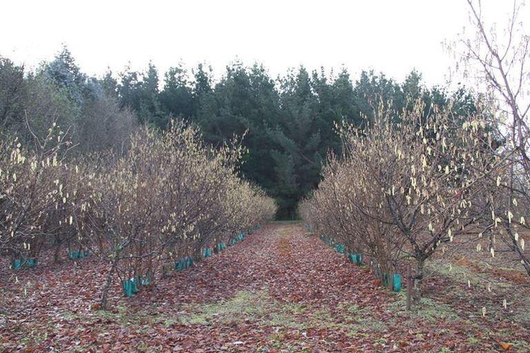 Photo of property in 459 Flora East, Makarewa, Invercargill, 9876