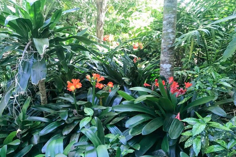 Photo of property in 111 Old Reservoir Road, Karangahake, Paeroa, 3674