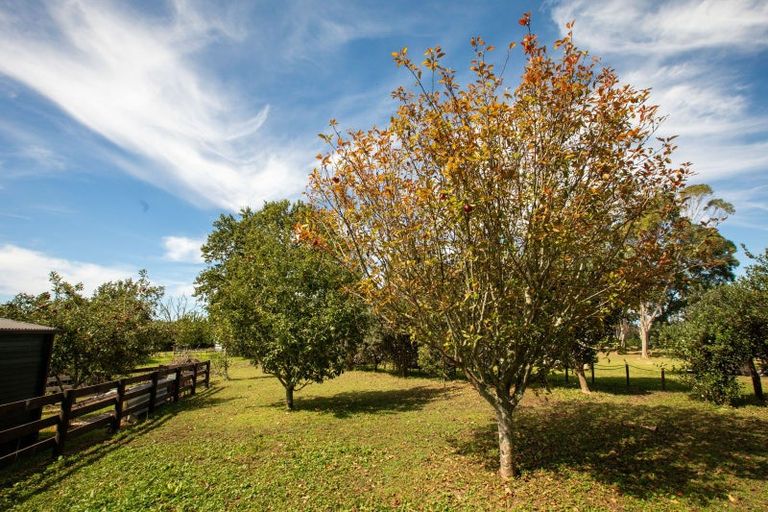 Photo of property in 126 Willoughby Road, Tahawai, Katikati, 3170