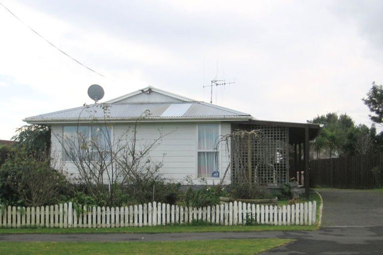 Photo of property in 95 Peacockes Road, Fitzroy, Hamilton, 3206