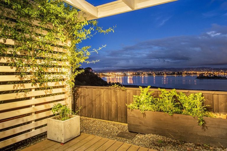 Photo of property in 62a Milton Road, Otumoetai, Tauranga, 3110