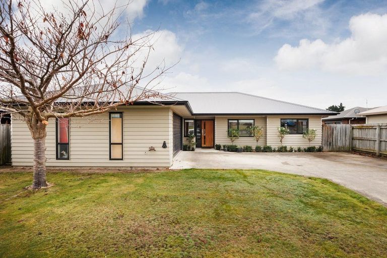 Photo of property in 91 Fraser Drive, Feilding, 4702