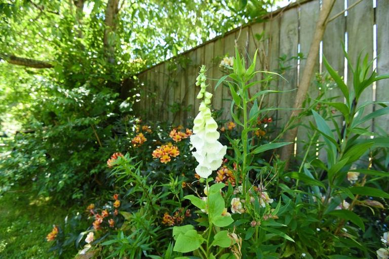 Photo of property in 156 Great North Road, Otamatea, Whanganui, 4500