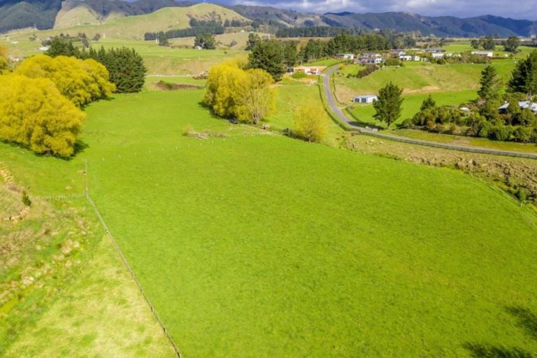 Photo of property in 9 Buckley Road, Shannon, Palmerston North, 4474